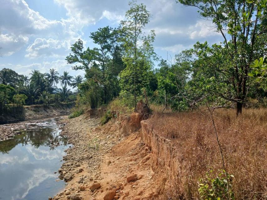 ขาย ที่ดิน เพชรเกษม ระนอง 43 ไร่ วิวเขา ติดน้ำ ติดถนนเพชรเกษม เมืองระนอง 6