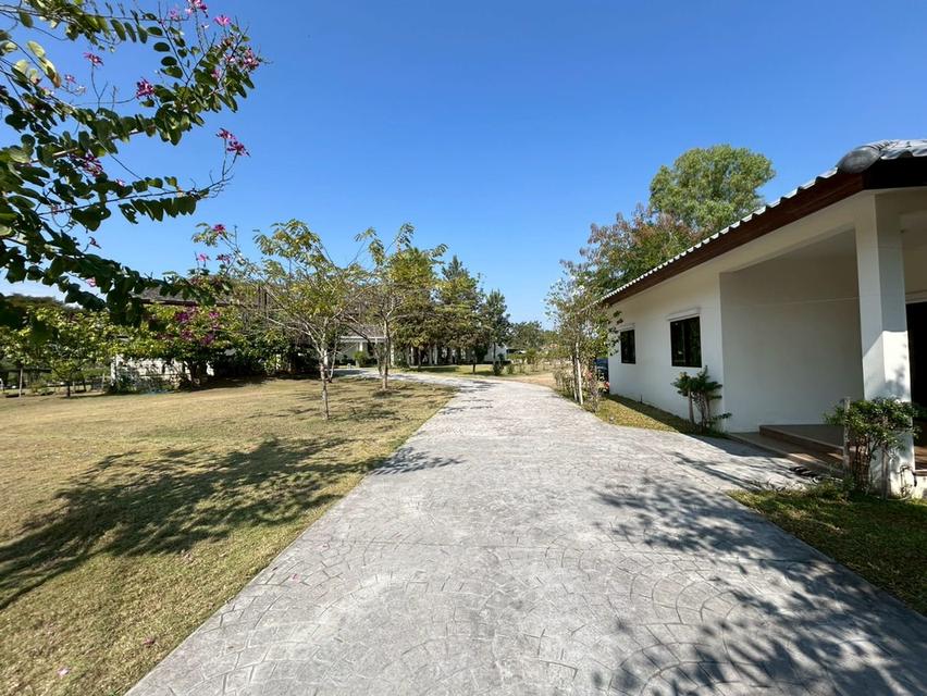 ขายบ้านและพร้อมที่ดิน 12