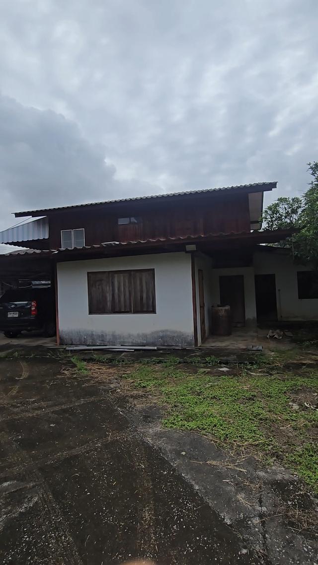 บ้านไม้ 2ชั้น ลำพูน ที่กว้าง 7