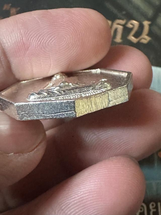 หนังสือหลวงปู่ เดินหน อิเกสาโร ผู้เปิดโลกหลังความตาย เรื่องราวอัศจรรย์ที่เคยเกิดขึ้นจริง เล่ม๒ ความหนา560หน้า+เหรียญเพชรยอดมงกุฎเนื้อเงิน บัตร03206 รูปที่ 4