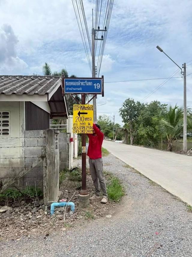 ขายด่วนที่ดินถมแล้ว 200 ตารางวา ถมแล้วทั้งแปลง สูงกว่าถนนคลองห้าตะวันตก 19 อ.คลองหลวง จ.ปทุมธานี 4