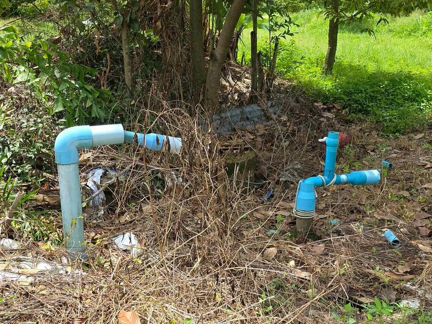 ขาย สวนเกษตร ฟาร์ม 914.75 ไร่ 15