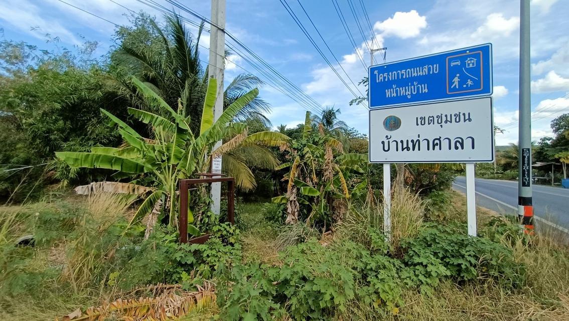 ที่ดินริมถนนอดิเรกสาร อ.แก่งคอย จ.สระบุรี 26.5 ไร่ เจ้าของขายเองแบบลดราคาถูกที่สุด 2