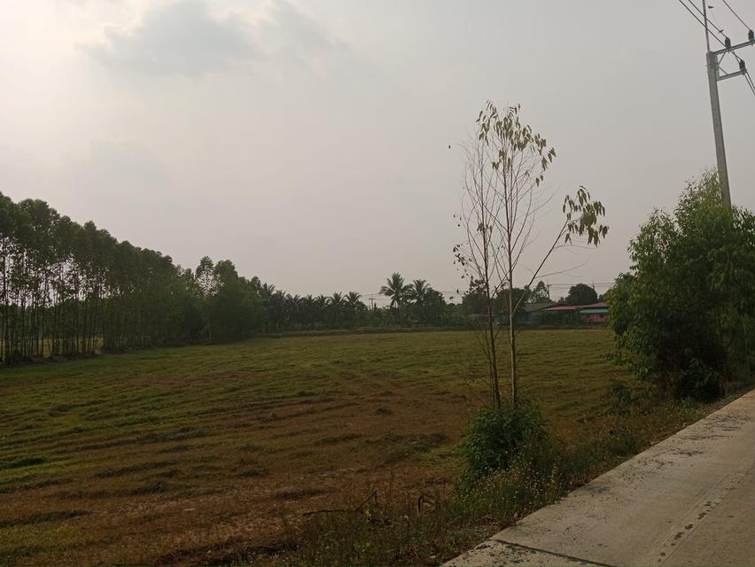 ขายที่ดินหัวหว้า ศรีมหาโพธิ 1 ไร่ ติดถนนทล.ชนบทใกล้ถนนสี่เลน3070-100เมตร จ.ปราจีนบุรี 4