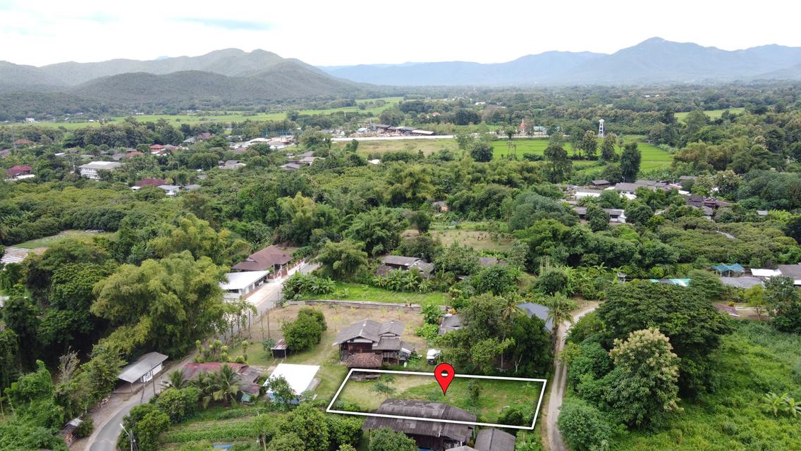 🌄 ขายที่ดิน 149 ตร.ว. ถมแล้ว น้ำ-ไฟ-พร้อม เหมาะสร้างบ้าน 3
