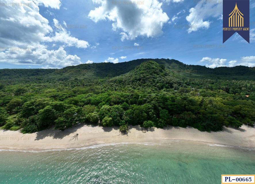 mini product image 3