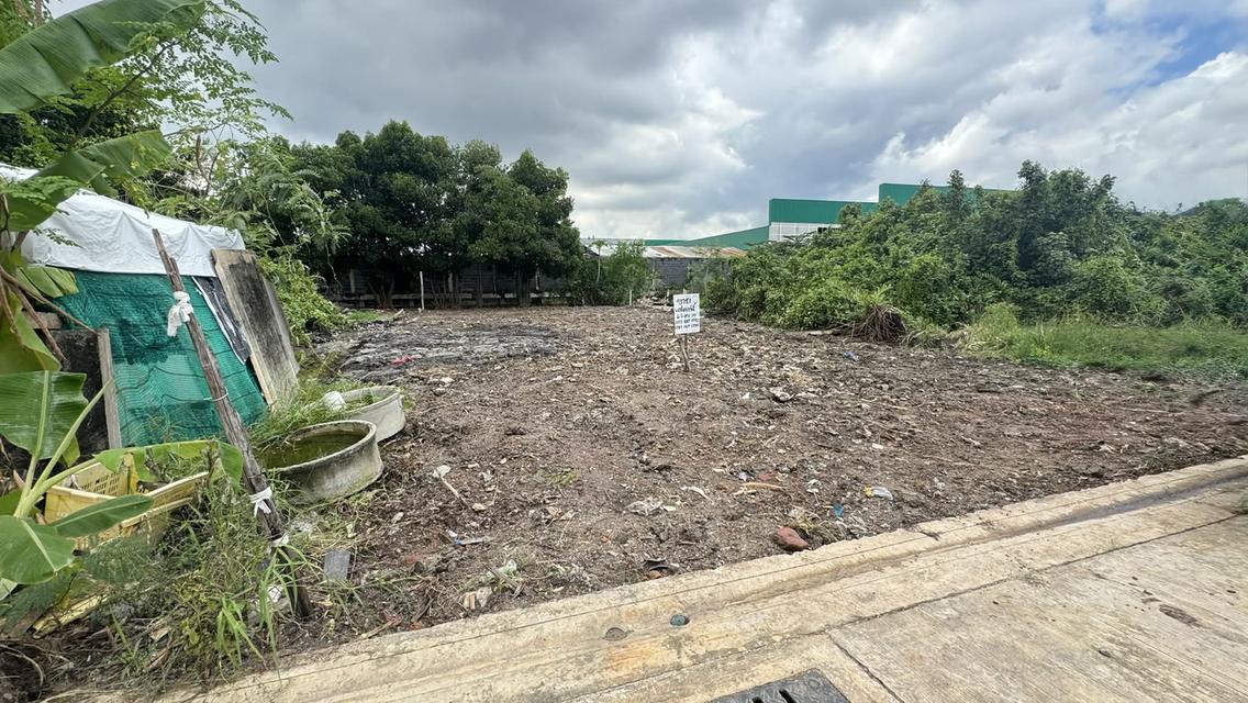 ขายที่ดิน 67.8 ตรว สุขสวัสดิ์ 78 ซอยวัดชังเรือง คู่สร้าง-คู่สม โครงการ3 ซอย 4/3 ราคาถูก ใกล้ตลาดคู่สร้าง 10