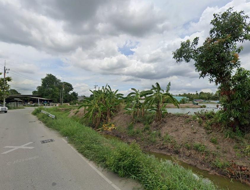 ขายที่ดินพานทองสีม่วงลาย 31 ไร่ หลังนิคมอมตะติดถนนลาดยางใกล้แยกพานทอง(ถ.บ้านเก่า3466)-1กม. จ.ชลบุรี 6