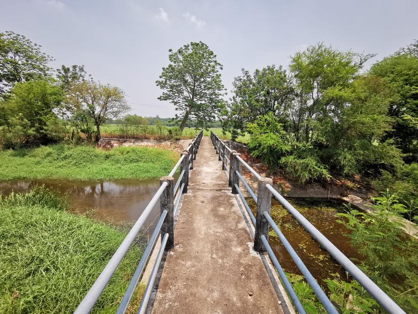 ที่ดินเปล่า 280 ไร่ เพื่อการเกษตร แปลงใหญ่ อ.โคกสำโรง จ.ลพบุรี  4