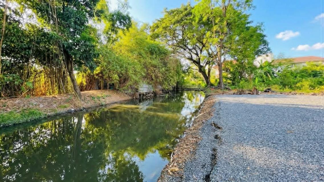 ขายที่ดินรามอินทรา77 แยก2 ถมแล้ว 105 ตรว ราคาถูกที่สุดในนั้นแล้ว ใกล้แฟชั่นไอส์แลนด์ 5