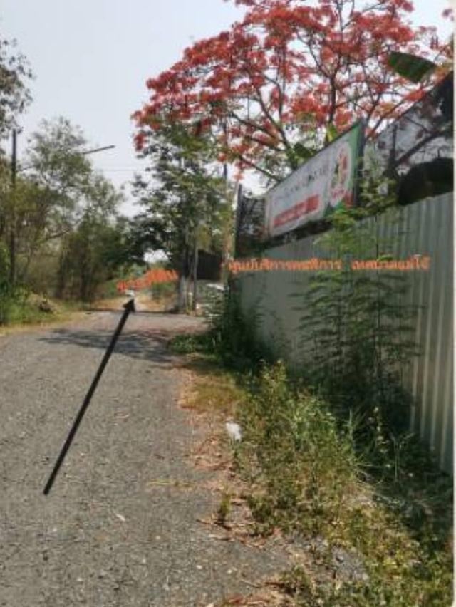 ขายที่ดินตรงข้ามโรงพยาบาลสันทรายเชียงใหม่ 3