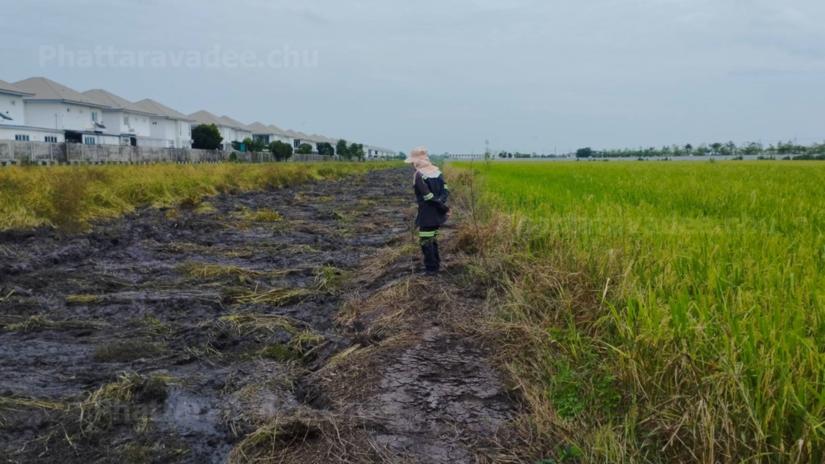 🔥ขายที่ดินลำลูกกา 20 ไร่ ติดถนน เหมาะทำจัดสรร🔥   📍ที่ดินลำลูกกา ปทุมธานี   6