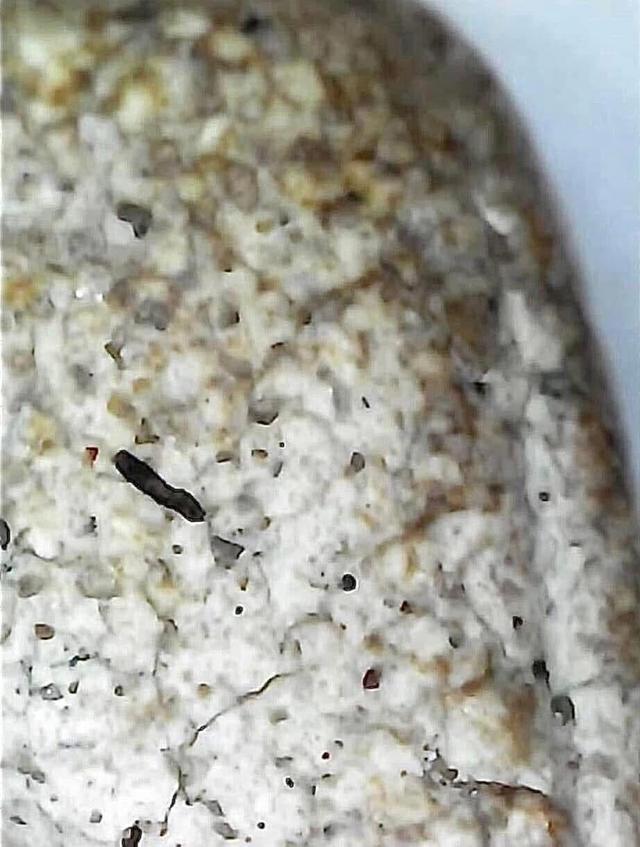 พระสมเด็จวัดระฆังพิมพ์ใหญ่เกศทะลุซุ้ม 8