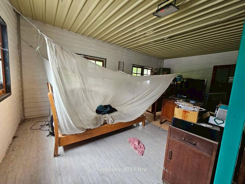 ขายที่ดิน 3-0-80 ไร่ พร้อมสิ่งปลูกสร้าง ติดถนนเลียบคลองขุนศรี ต.ไทรน้อย อ.ไทรน้อย จ.นนทบุรี 13