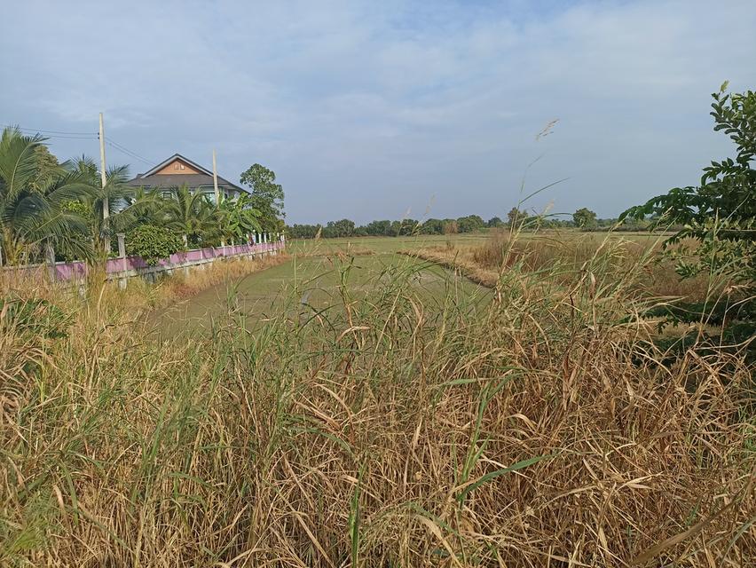 ที่ดิน 10 ไร่ 1 งาน 61 ตรว.ติดถนนใกล้ทางด่วนบางพูน 2