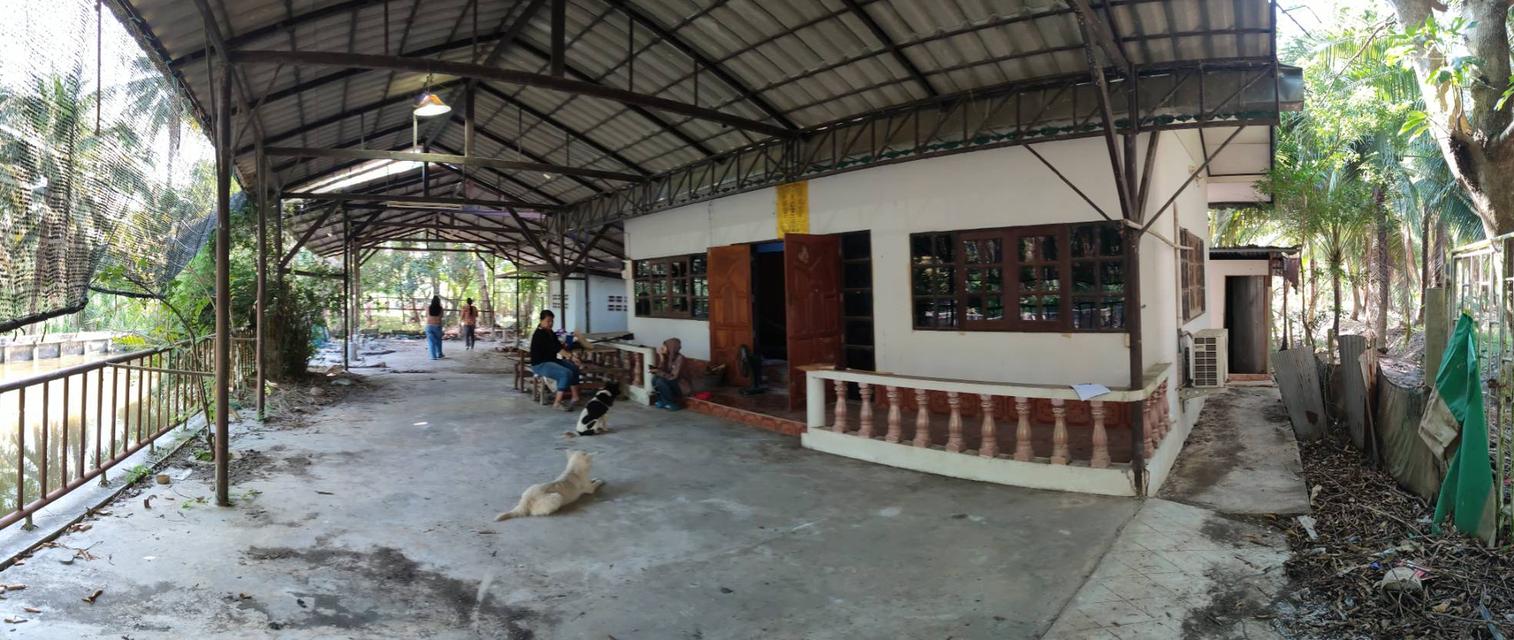 ที่ดินสวนพร้อมบ้าน บ้านเเพ้ว 9