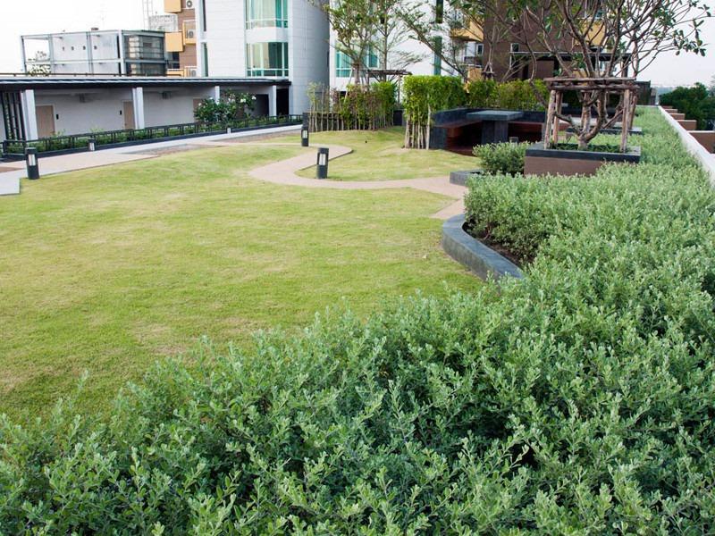 ขายคอนโด เอ็มโซไซตี้ คอนโดมิเนียม M Society Condominium ปากเกร็ด นนทบุรี  ราคา 1,290,000 บาท 9