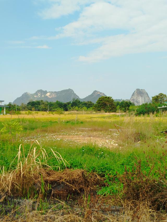 ที่ดินเปล่า 200 ตรว. 3