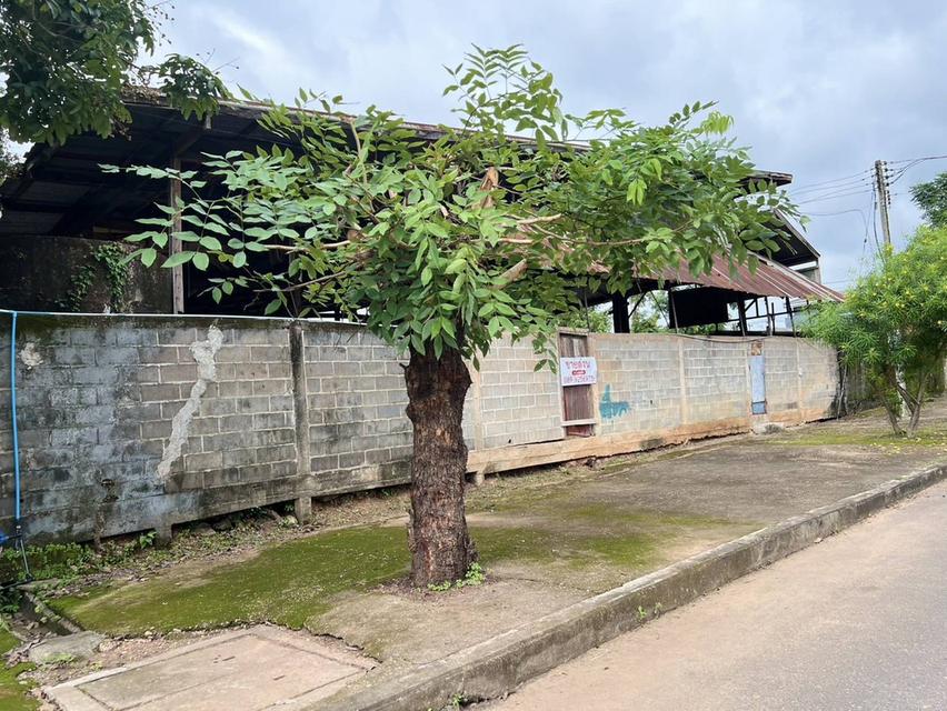 ขายที่โกดังติดถนนหลังเส้นโรงพยาบาลสมเด็จพยุพระราชเลิงนกทา หน้ากว้างติดถนน 32ม.ลึก43 ม.เนื้อที่ทั้งหมด3.617 งาน ห่างโรงพยาบาล 300 เมตร  เขต ทต.เลิงนกทา 10