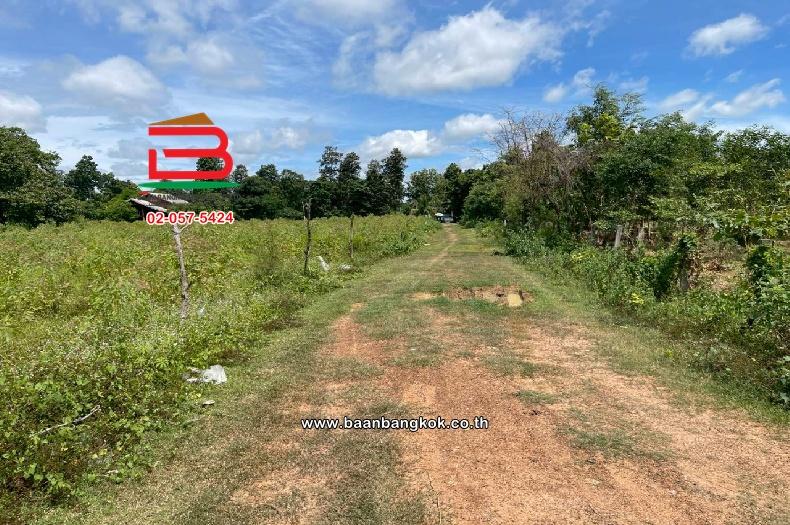 ที่ดินเปล่า หมู่บ้านโคกปราสาท เนื้อที่ 16-0-37 ไร่ (สามแยกบ้านยายพิมพ์, ใกล้โรงเรียนดอนหวาย) ตำบลหนองยายพิมพ์ อำเภอนางรอง บุรีรัมย์ 2
