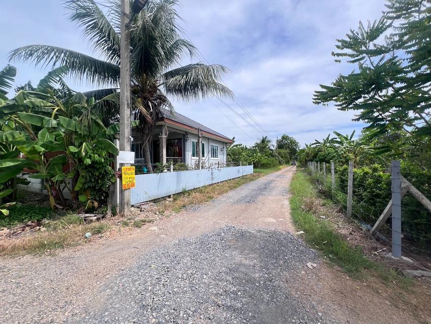 ขายที่ดินเปล่า คลองสิบ หนองจอก ใกล้โรงเรียนสุเหร่าคลองสิบเอ็ด 5