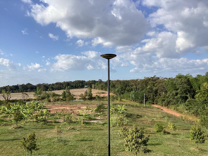 ที่ดินทำบ้านพักตากอากาศบนภูกระเเต จ.นครพนม 6