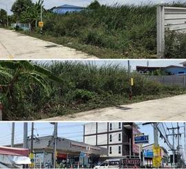 ที่ดิน ซอยบงกช71 คลองสอง ปทุมธานี 1