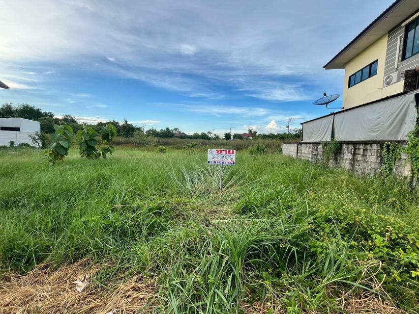 ที่ดินเปล่า ถมแล้ว ใกล้มหาวิทยาลัยธรรมศาสตร์ศูนย์รังสิต ถนนเชียงราก ต.เชียงรากใหญ่ อ.สามโคก จ.ปทุมธานี 8