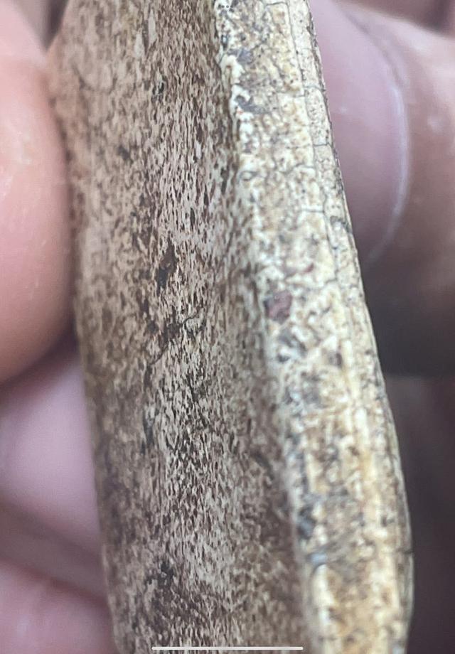 พระสมเด็จทันยุคของแท้ 9