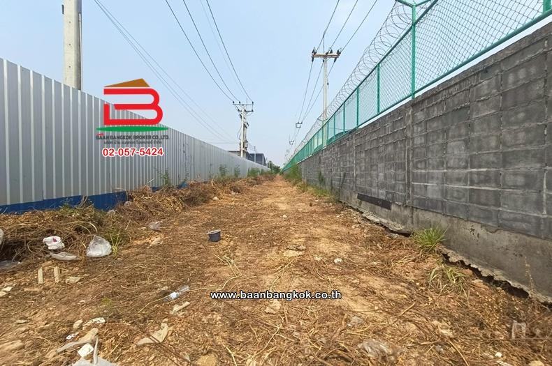 ที่ดินเปล่า เนื้อที่ 4 ไร่ ใกล้ปั้มปตท. ม.12 คูบางหลวง ถนนราชพฤกษ์ ตำบลคูบางหลวง อำเภอลาดหลุมแก้ว จังหวัดปทุมธานี 2