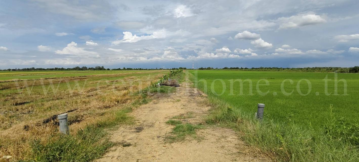 ที่ดินเปล่า 4 ไร่ 28.3 ตร.วา บางเลน นครปฐม ราคาถูก 9