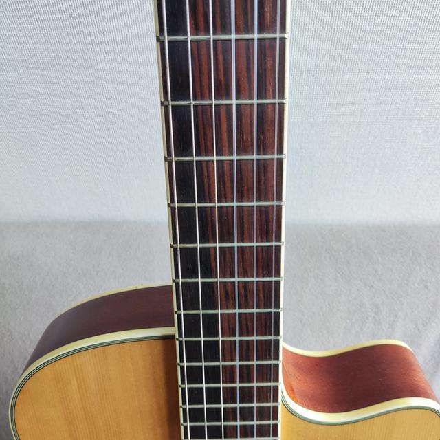 กีต้าร์คลาสสิคไฟฟ้าลำตัวบาง Paramount C551BCEQN รูปที่ 9