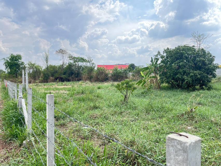 ขายที่ดินแปลงสวย ทำเลดี 11