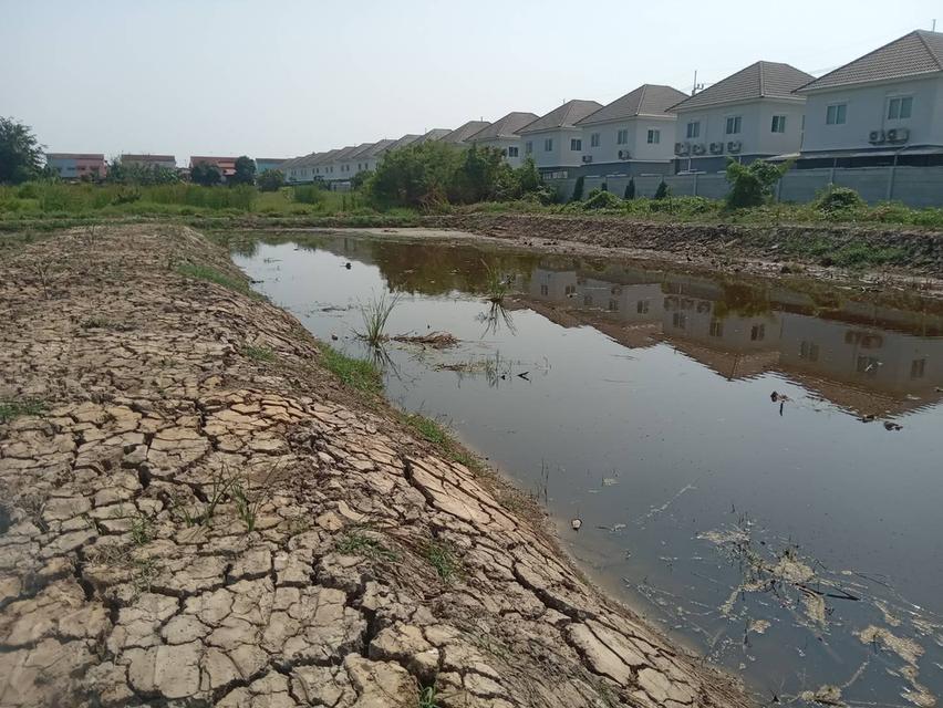 ขายที่ดินเปล่า 2 ไร่ ติดถนนคอนกรีต ซอยเทศบาลบางปู 83 10