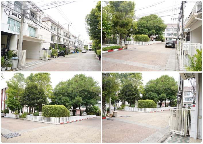 Th-131 : ทาวน์โฮม 3 ชั้น 20.6 ตร.วา บ้านกลางเมือง เออร์บาเนี่ยน สุขุมวิท 113 สมุทรปราการ 3