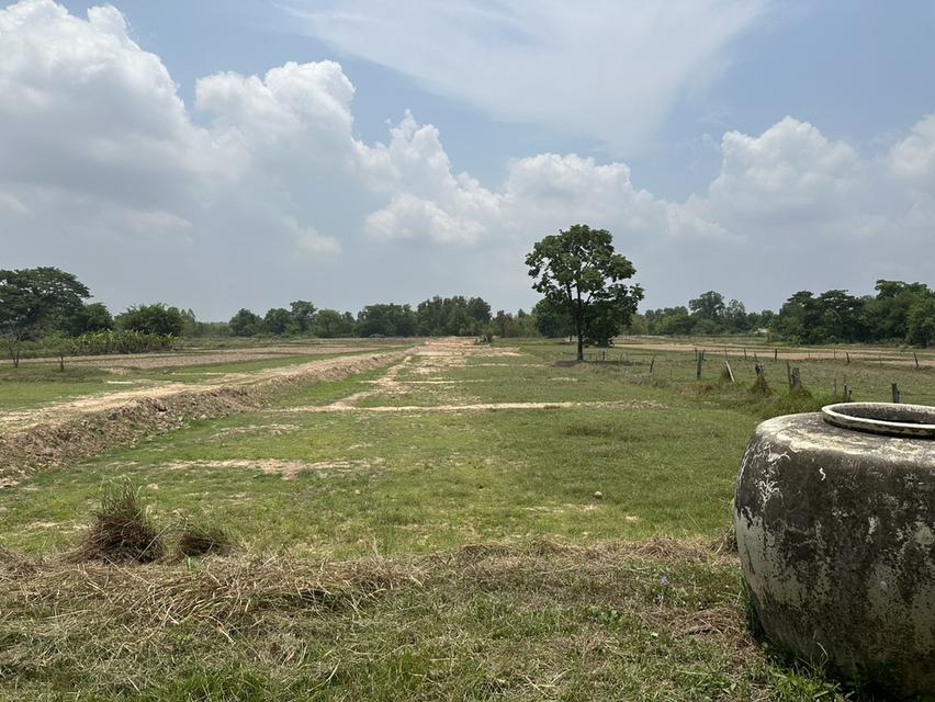 ขายที่ดิน บ้านนาดอกไม้ อ.บ้านฝาง จ.ขอนแก่น 1