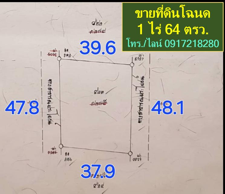 เจ้าของขายด่วน !! ถูกๆ ที่ดินสวยหนองจอก วาละ 4,900 รวม 464 ตรว. ใกล้วัดประยงค์กิตติวนาราม 5