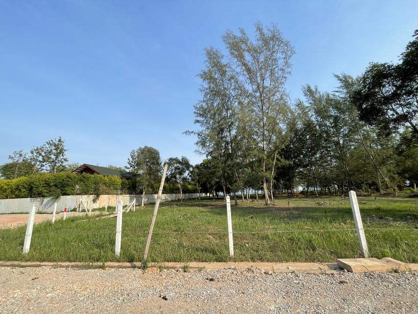 ขายถูกมาก !! ที่ดินติดทะเลระยอง 4 ไร่ ไม่มีถนนคั่น 7