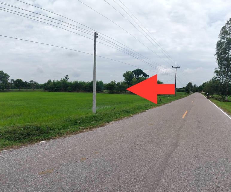 ที่นาแปลงใหญ่ 33 ไร่ ทำเลดี ต.หินกอง อ.สุวรรณภูมิ ร้อยเอ็ด ราคาสุดคุ้ม 4