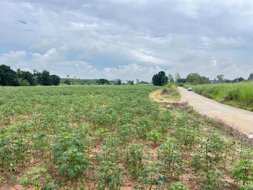 ขายที่ดินศรีราชา 28 ไร่ (แบ่งขายได้) ขยายเพิ่มได้อีก 11 ไร่ พื้นที่สีส้มจุด ตำบลบึง ศรีราชา ชลบุรี 2