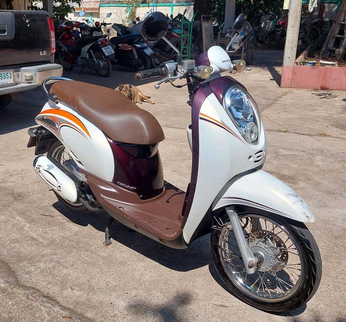 Honda scoopy i รถมือสอง รูปที่ 2