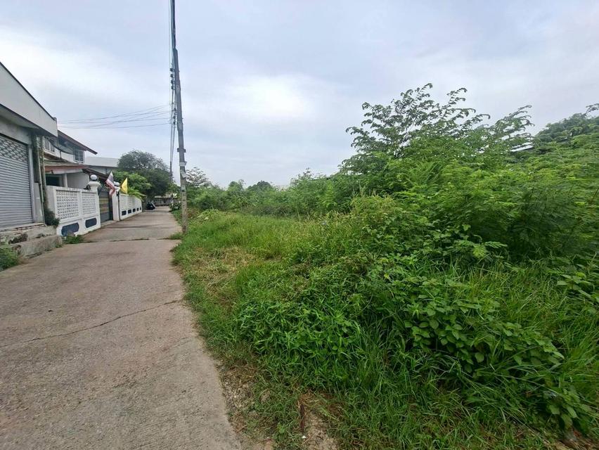 ขายที่ดินถมแล้ว 1 ไร่ ถนนเฉลิมพระเกียรติ ทำเลดีติดถนน (N.1785) 4
