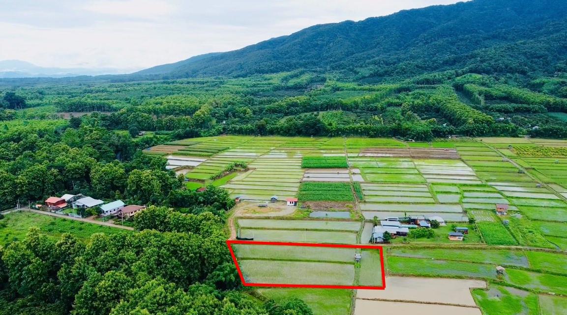 ขายที่ดิน ปัว น่าน 707 ตร.ว. ราคา 1.9 ล้าน 8