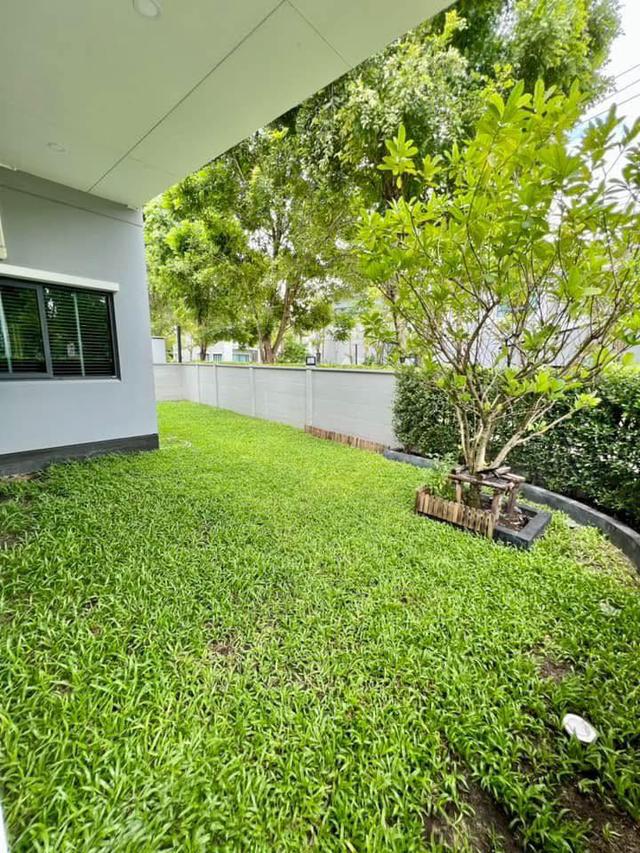 ขายบ้านเดี่ยว 2 ชั้น CENTRO ราชพฤกษ์ 2 บ้านเดี่ยวหลังมุม ตกแต่งสไตล์ Modern Luxury Built-in ดีไซน์สวย และพื้นที่สีเขียวข้างบ้าน