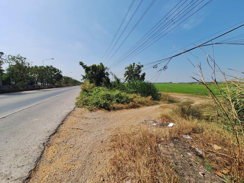 ที่ดินติดถนนปทุมธานี บางเลน ลาดหลุมแก้ว 1