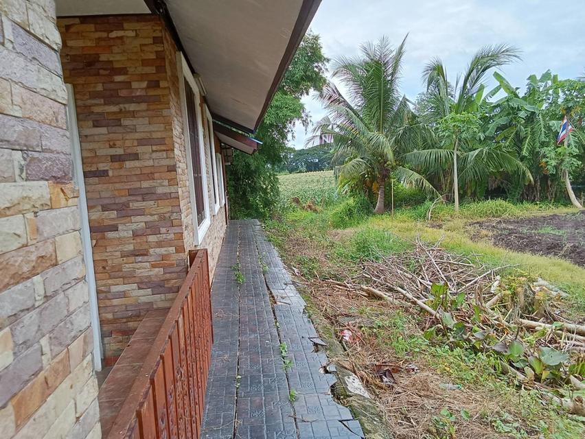บ้านเดี่ยววิวสวยทำเรดี ขนาด 150 ตรว 17