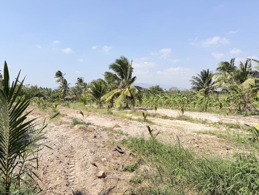 mini product image 5