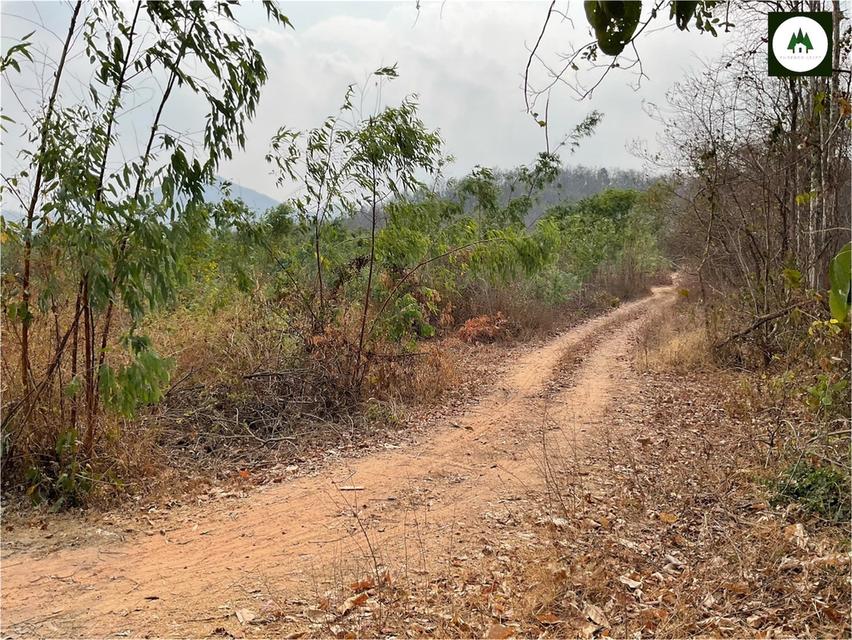 📣ขายที่ดิน นส 3 ก วิวภูเขา เงียบสงบ มีความเป็นส่วนตัว ทำเลดีมาก ⛰️ 8