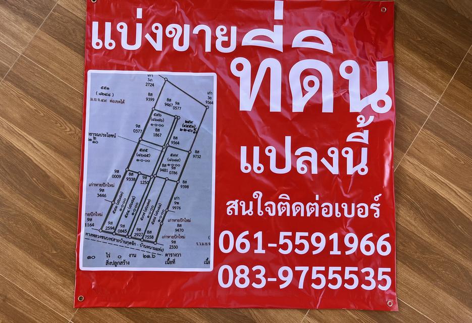 ที่ดินเปล่า