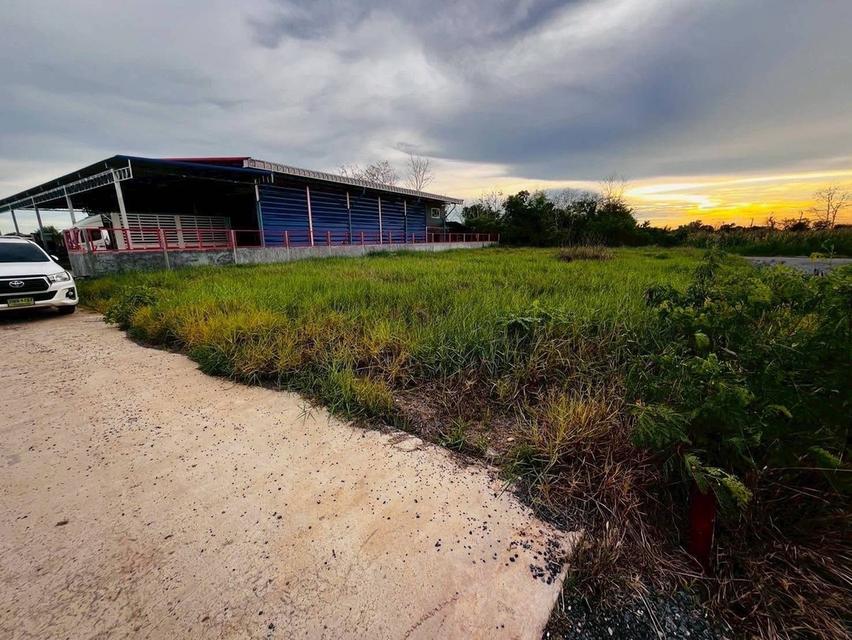 ที่ดินหนองจอก กรุงเทพ 1